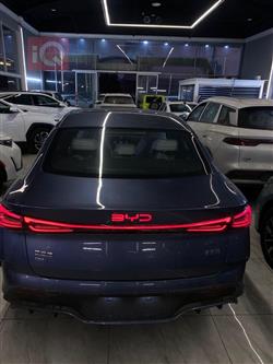 بي واي دي سيل 06 DM-i